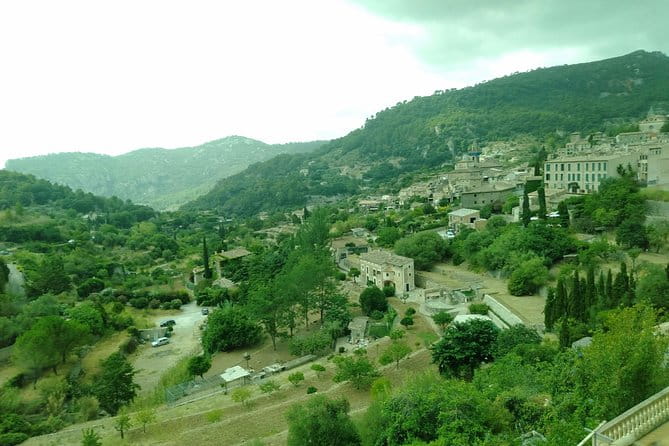 Private tour for my family from a cruise - Practical Tips for Your Mallorca Private Tour