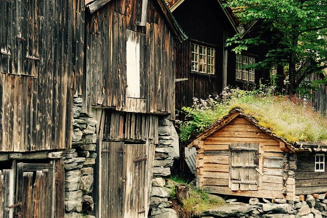 Private tour from Ålesund to Geiranger up to 15 people - Analyzing the Itinerary in Detail