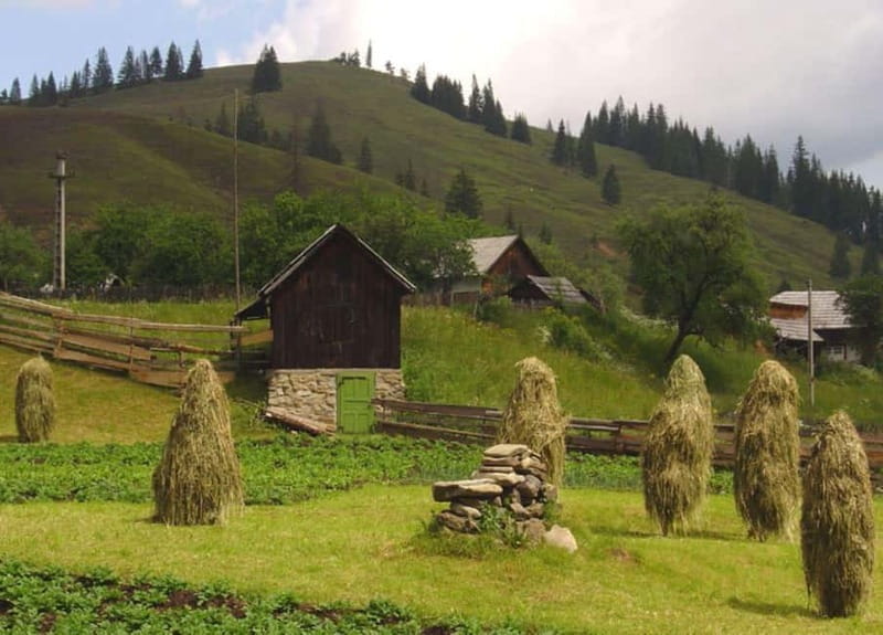 Private Tour from Bucharest to Painted Monasteries-UNESCO - Introduction: A Unique Journey Through Romanian Art and Faith