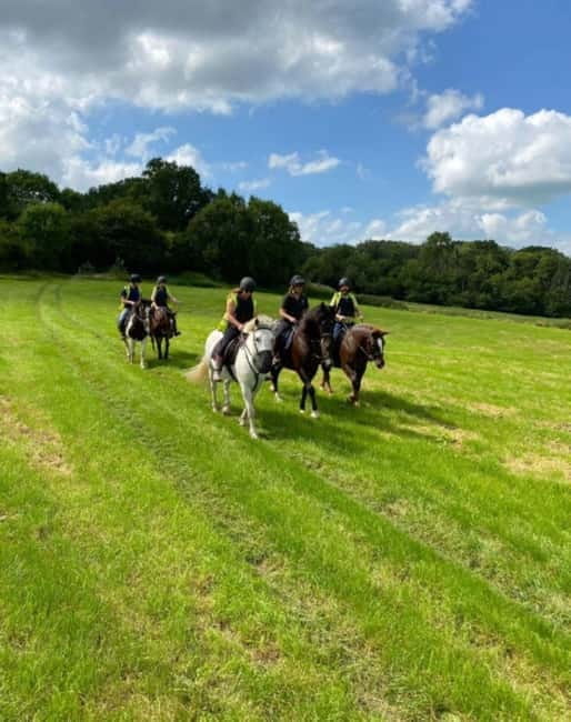 Private Tour from Bucharest to Painted Monasteries-UNESCO - Final Perspective