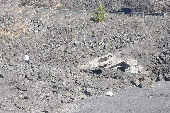 Private Tour from Catania to Etna Naxos and Taormina - Who Will Enjoy This Tour?