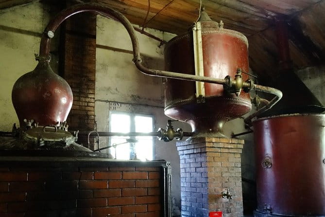 Private tour from Cognac - Cognac Distillery & Bordeaux Winery with a workshop - A Closer Look at the Itinerary and Experience