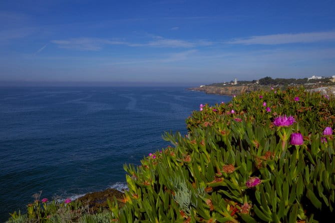 Private Tour From Lisbon: Sintra Mystic Trail in Five Hours - FAQ
