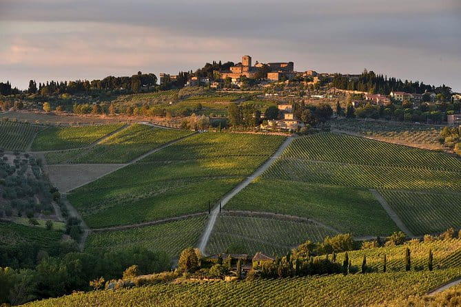 Private tour from Livorno port to Chianti Wine Region - Key Points / Takeaways
