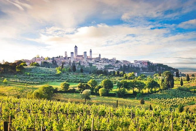 Private tour from Livorno port to San Gimignano & Volterra - Key Points / Takeaways