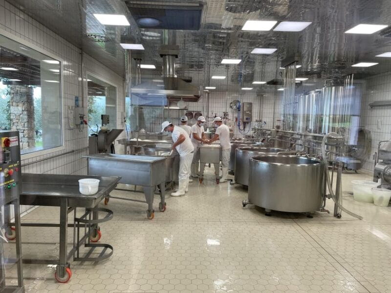 Private Tour from Naples to the Greek Temples of Paestum - Price and Value Considerations