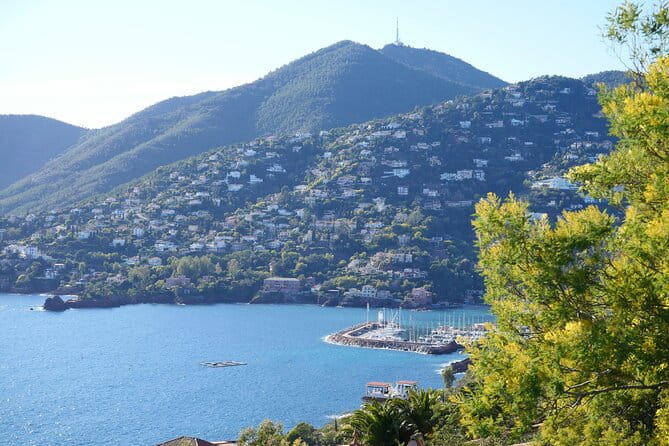 Private Tour from Saint-Tropez to the flowers city - Key points / Takeaways