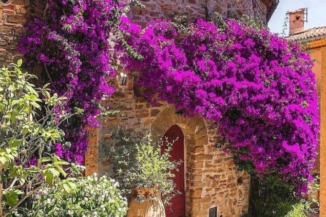 Private Tour from Saint-Tropez to the flowers city - The Experience Guide: Alexandre