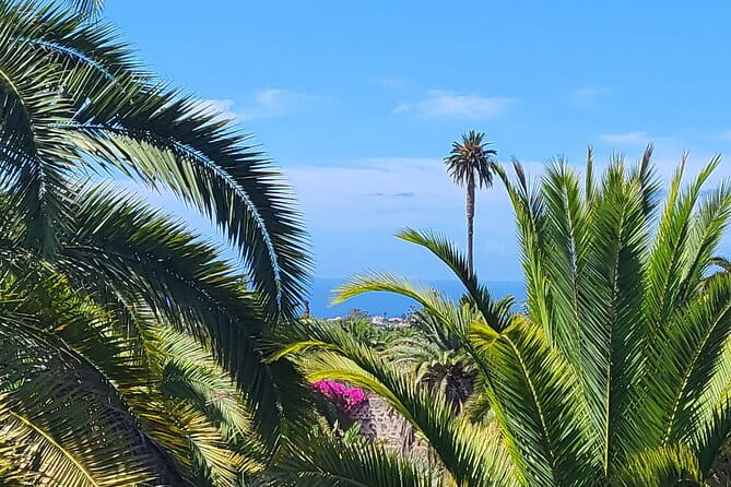 Private Tour from the Port of Las Palmas to Teror Firgas Arucas - Final Thoughts: Is It Worth It?