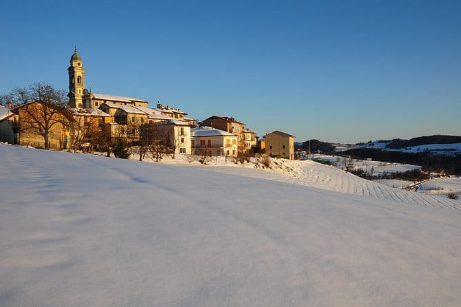 Private tour from Turin: Full day Langhe Region with its Colors and Flavors - Exploring the Langhe: A Full-Day Journey through Italy’s Food & Wine Heartland