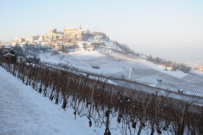 Private tour from Turin: Full day Langhe Region with its Colors and Flavors - FAQ