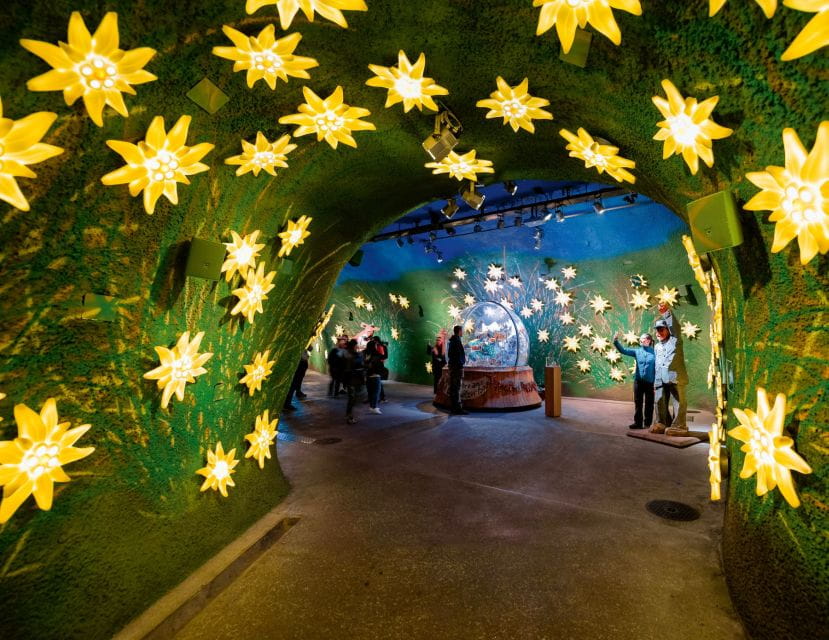 Private Tour From Zurich to Jungfraujoch - the Top of Europe - Venture Into the Alpine Wonderland