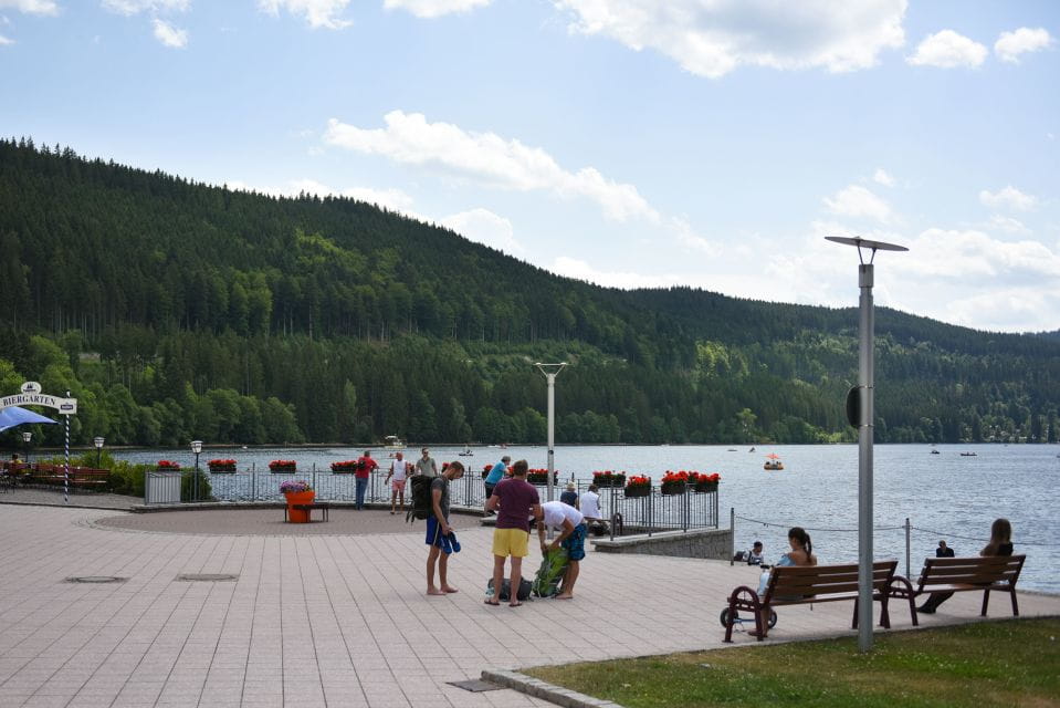 Private Tour From Zurich to Rhine Falls and Black Forest - Inclusions and Amenities