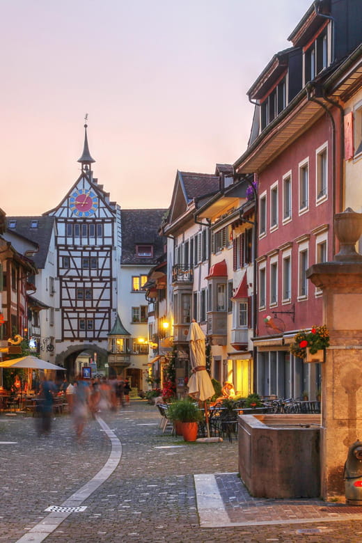 Private tour from Zurich to Rhine Falls & Stein am Rhein - Key Points & Takeaways