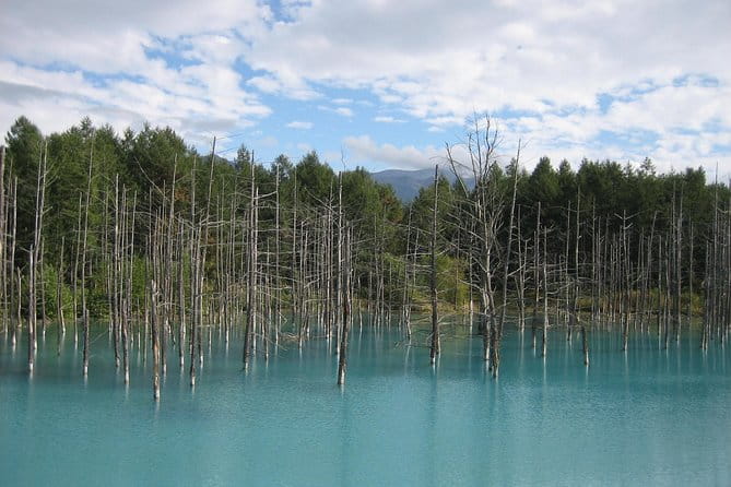 Private Tour: Full-Day Walking Tour With Professional Local Guide in Yakushima Island - Customize Your Walking Tour Experience