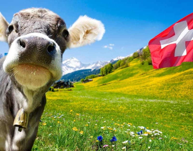 Private tour Geneva-Gruyère's: chocolate and cheese factory - Exploring the Swiss Land of Chocolate and Cheese