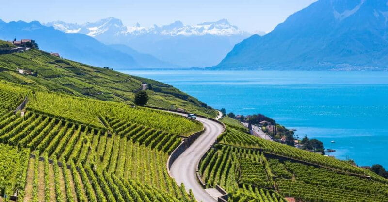 Private tour Geneva-Gruyère's: chocolate and cheese factory - The Return Journey: Reflecting on a Day Well Spent