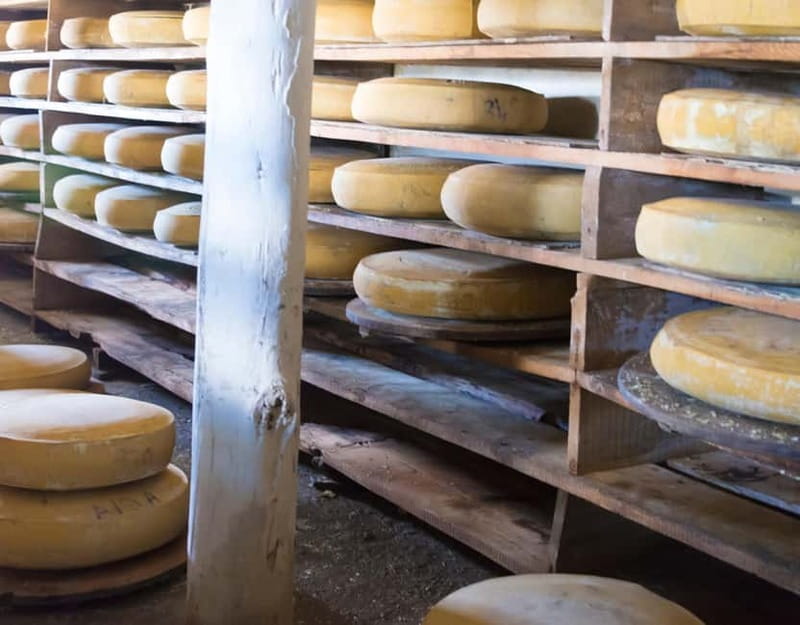 Private tour Geneva-Gruyère's: chocolate and cheese factory - Final Thoughts: A Sweet and Savory Swiss Getaway