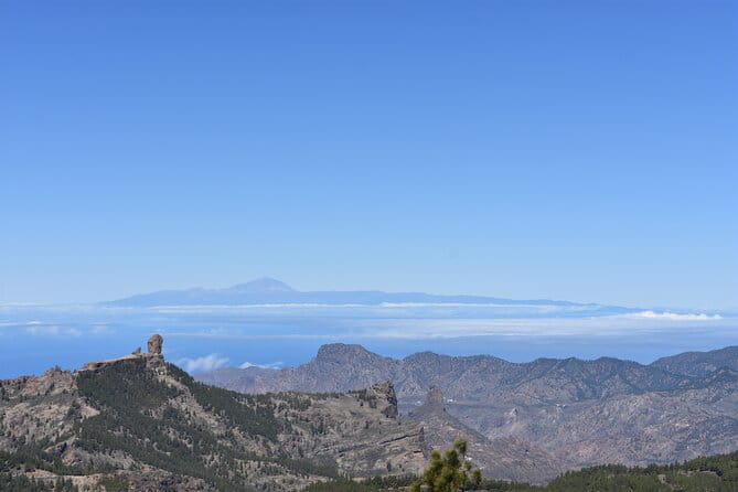 Private Tour Guide in Gran Canaria - Key Points