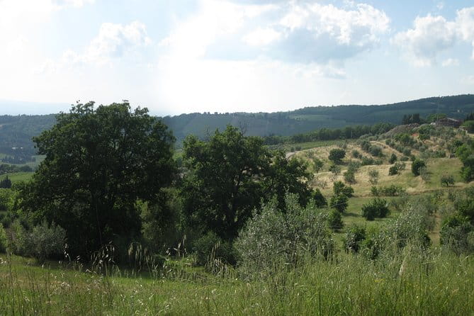 Private Tour: Guided Hike in Tuscany with Transport from Siena - Final Thoughts: Who Should Book This?