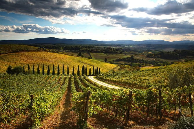Private Tour: Guided Hike in Tuscany with Transport from Siena - FAQs