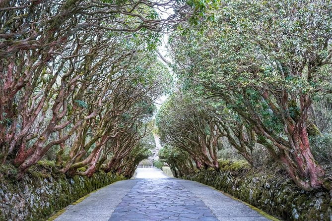 Private Tour - Hakone Day Trip! A Tour to Explore All Must-Sees! - Expectations and Recommendations