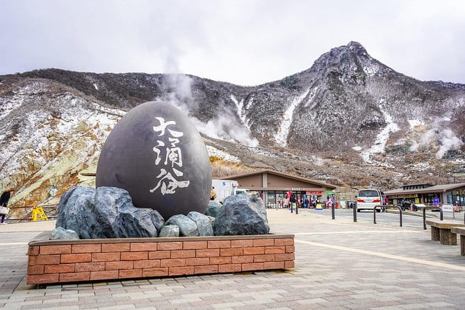 Private Tour - Hakone Day Trip! A Tour to Explore All Must-Sees! - Highlights: Hakone Ropeway Owakudani Station