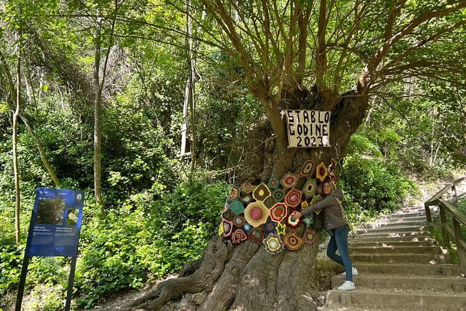 Private Tour ibenik, Krka Waterfalls & Wine tasting - Practical Details and Value