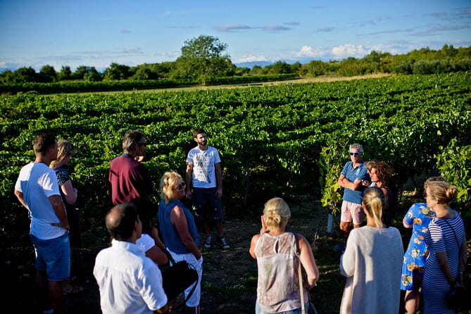 Private Tour ibenik, Krka Waterfalls & Wine tasting - Who is This Tour Perfect For?