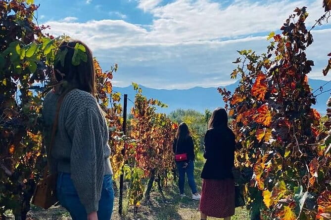 Private Tour in Pompeii Ruins and Pompeii City Center Winery - Who Will Appreciate This Tour Most?