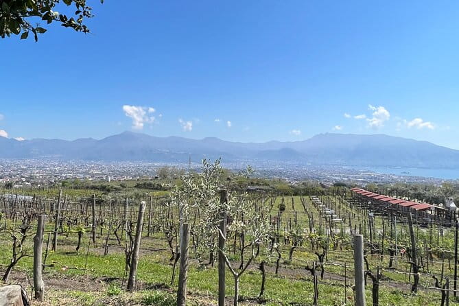 Private Tour in Pompeii Ruins and Pompeii City Center Winery - The Sum Up: Is This Tour Right for You?