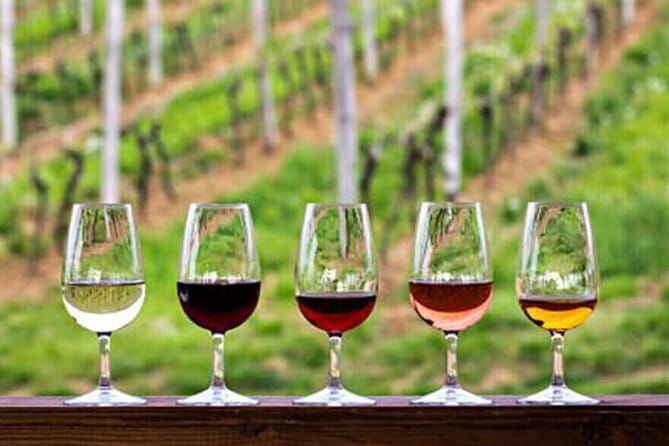 Private Tour in the Douro with Family Vineyards and Miradouro - Key Points / Takeaways