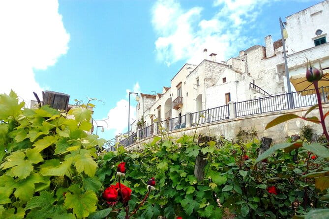 Private Tour in the Itria Valley - FAQ