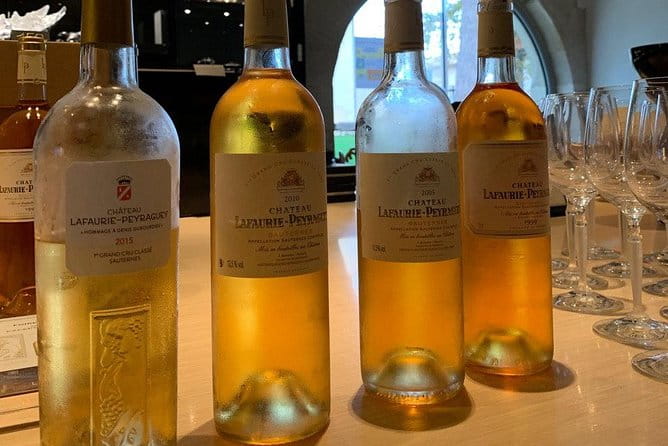 Private tour in the Sauternes wine region - discover Bordeaux sweet Crus Classés - Key Points