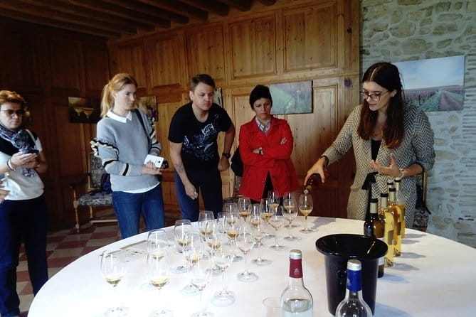 Private tour in the Sauternes wine region - discover Bordeaux sweet Crus Classés - What to Keep in Mind