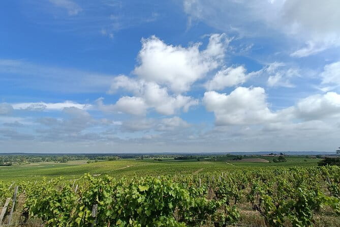 Private tour in the Sauternes wine region - discover Bordeaux sweet Crus Classés - FAQ
