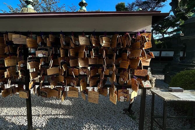 Private Tour in Tokyo (Ueno, Downtown...) With a Local Guide - Tour Experience and Customization