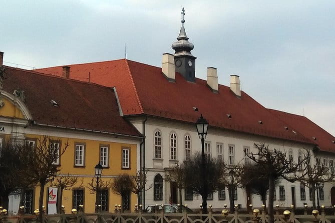 Private tour in Vác by local guide - Magical vibe of an charming baroque town - Key points / Takeaways
