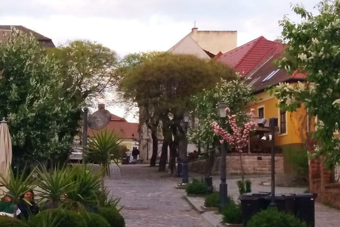 Private tour in Vác by local guide - Magical vibe of an charming baroque town - Price & Logistics: Evaluating the Value