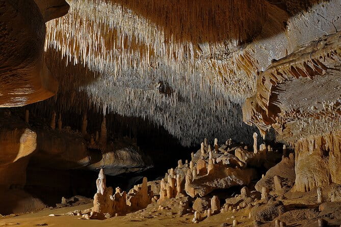 Private Tour into an Original Prehistoric Cave by EXPLOREO SARLAT - Final Thoughts: A Rare Glimpse into Prehistory