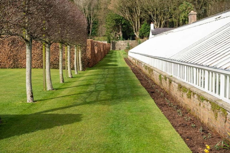 Private Tour - Irish Walled Garden, Nature & Giants Causeway - Pricing and Value: What You’re Getting