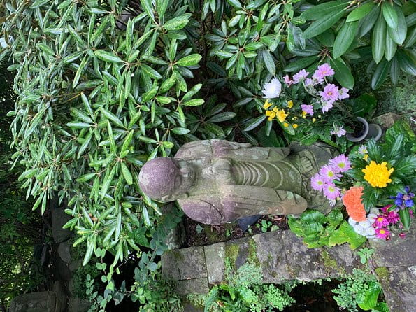 Private Tour Kamakura and Enoshima With Guide and Photographer - Highlights of the Tour