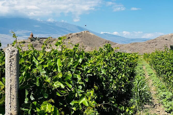 Private Tour: Khor Virap-Garni-Geghard - In-Depth Review of the Khor Virap-Garni-Geghard Tour