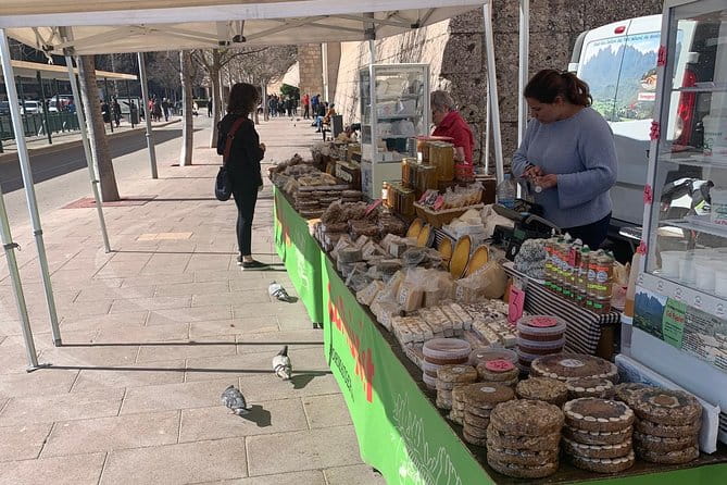 Private Tour: Montserrat and Cava Visit - The Return Journey and Final Thoughts