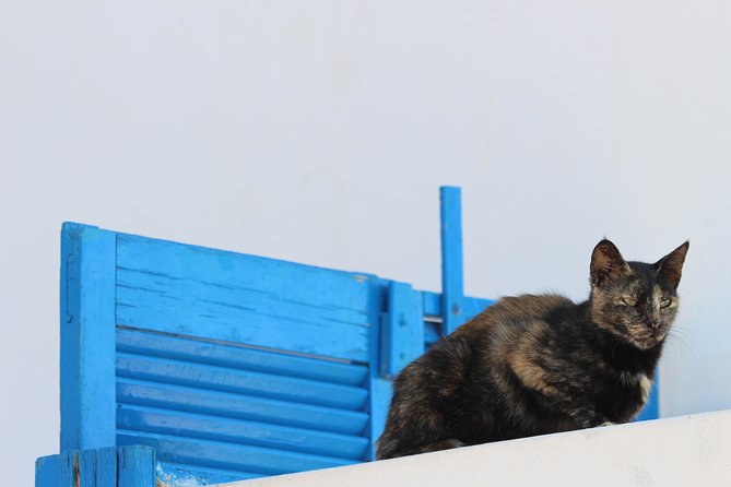 Private Tour: Mykonos Island in Half a Day - Customized to Your Interests