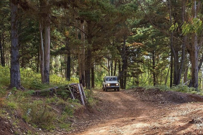 Private Tour: Nun's Valley & Sea Cliff - Half Day Jeep Tour - In-Depth Review of the Nun’s Valley & Sea Cliff Jeep Tour