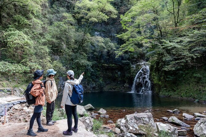 Private Tour of Akame 48 Waterfalls With Bento Making - The Sum Up
