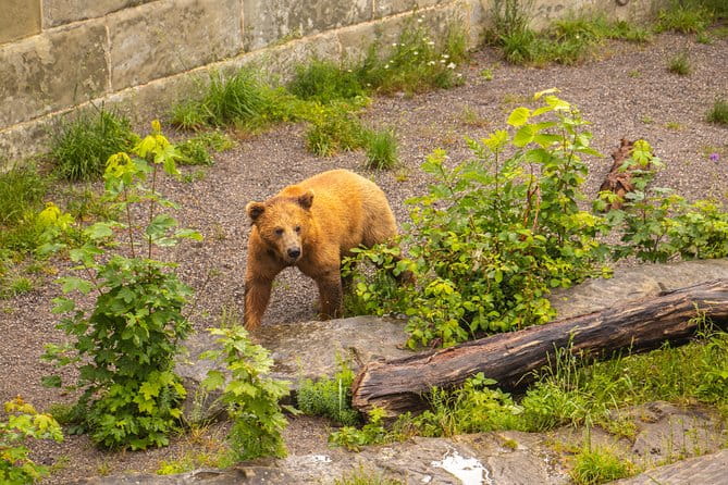 Private Tour of Bern in 60 minutes with a Local - FAQ