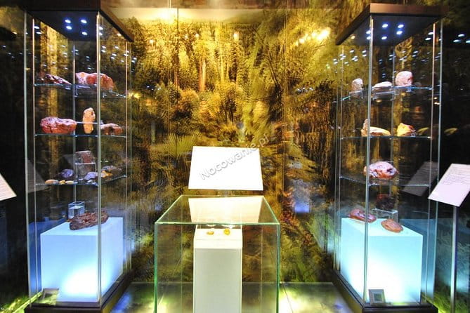 Private Tour of Gdansk Old Town for Kids and Families - The Riverside and the Embankment: Portside Vibes and Views