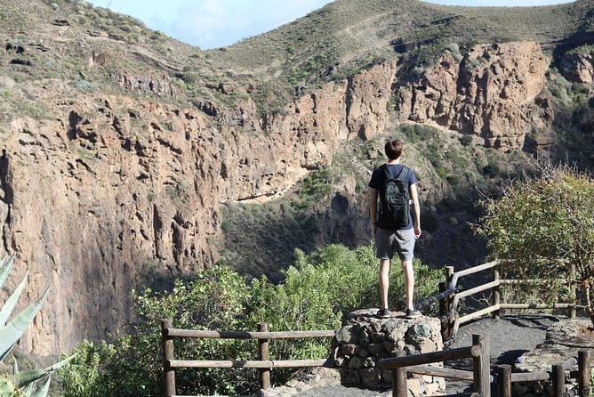 Private Tour of Gran Canaria Volcano and Canary Wine tasting - Who Will Love This Tour?